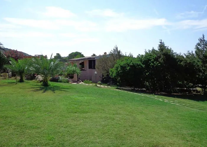 La Chimera * 维拉西米乌斯