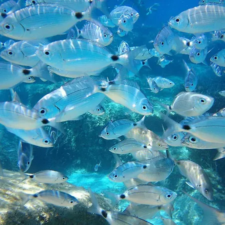 Ξενοδοχείο με διαμερίσματα La Chimera Villasimius