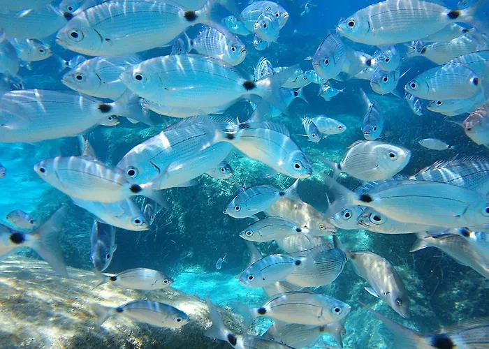 Апарт-отель La Chimera Вилласимиус